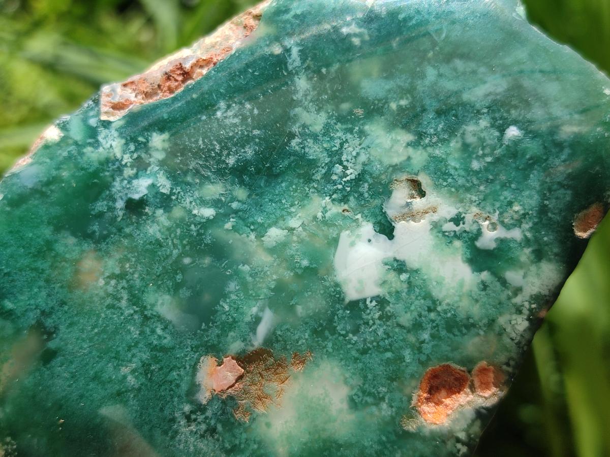 Polished On One Side Mtorolite Plates x 6 From Mutorashanga, Zimbabwe