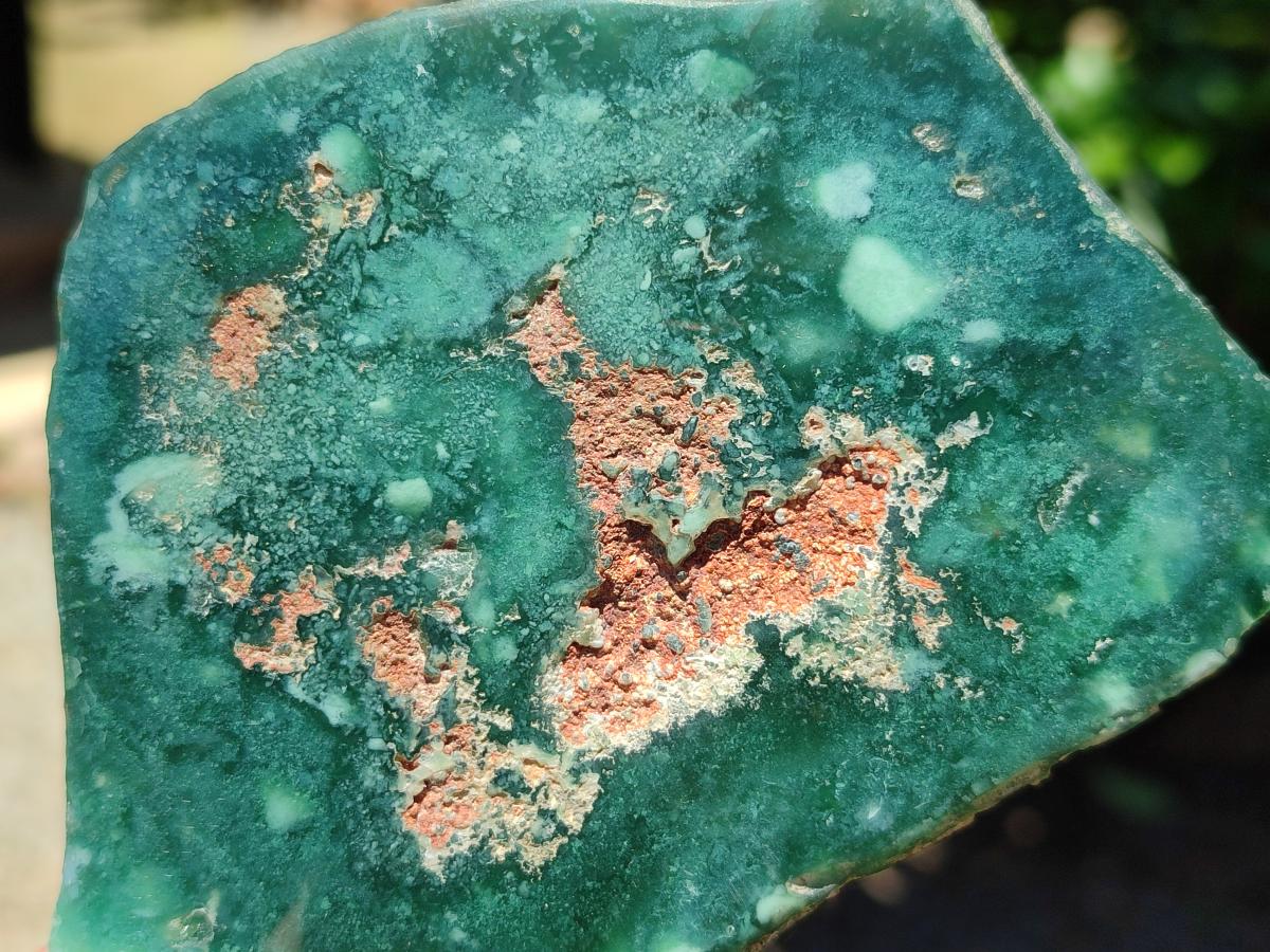 Polished On One Side Mtorolite Plates x 6 From Mutorashanga, Zimbabwe