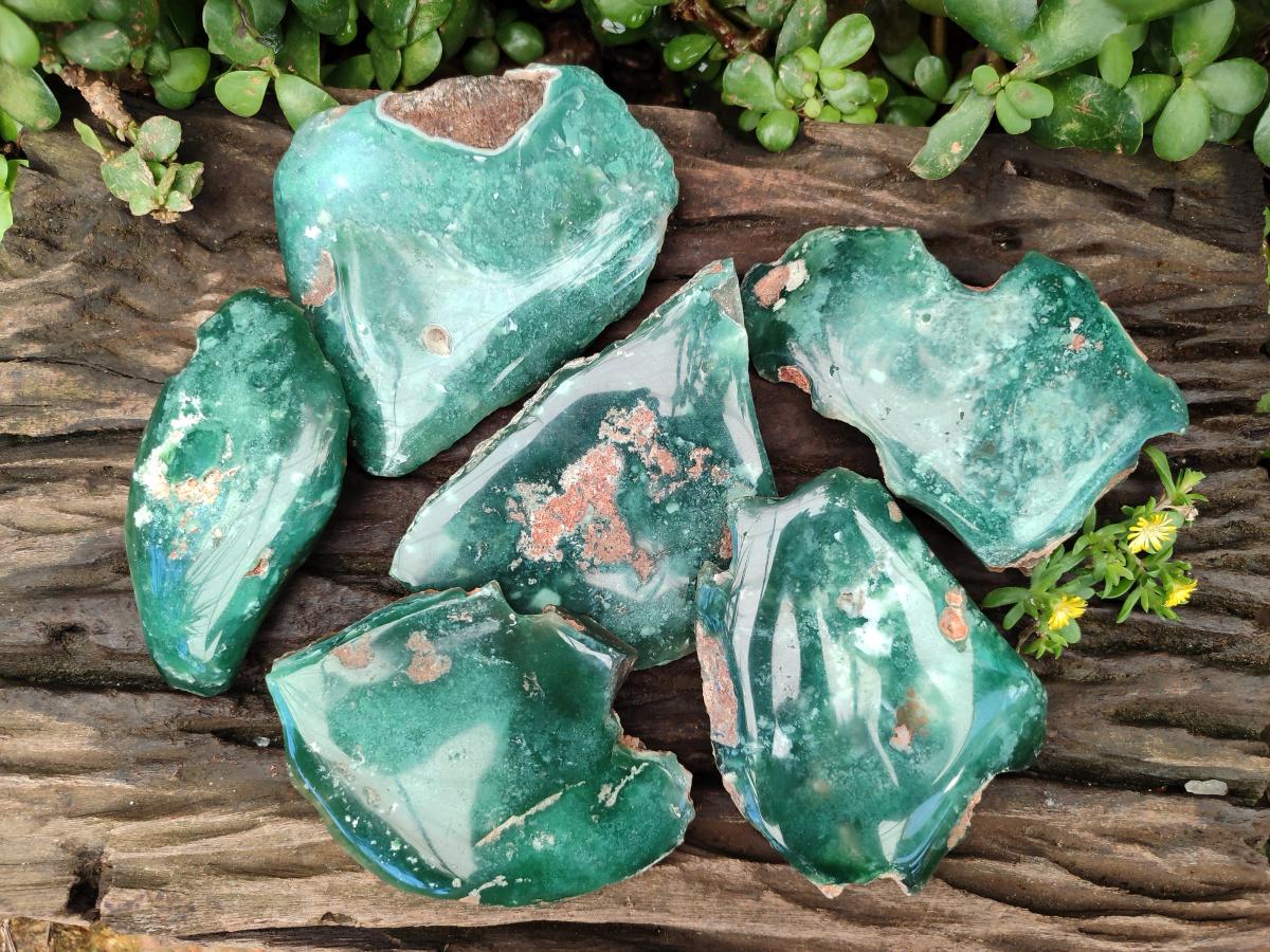 Polished On One Side Mtorolite Plates x 6 From Mutorashanga, Zimbabwe - Toprock Gemstones and Minerals 