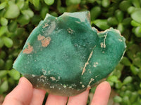 Polished On One Side Mtorolite Plates x 6 From Mutorashanga, Zimbabwe