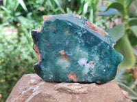 Polished On One Side Mtorolite Plates x 6 From Mutorashanga, Zimbabwe
