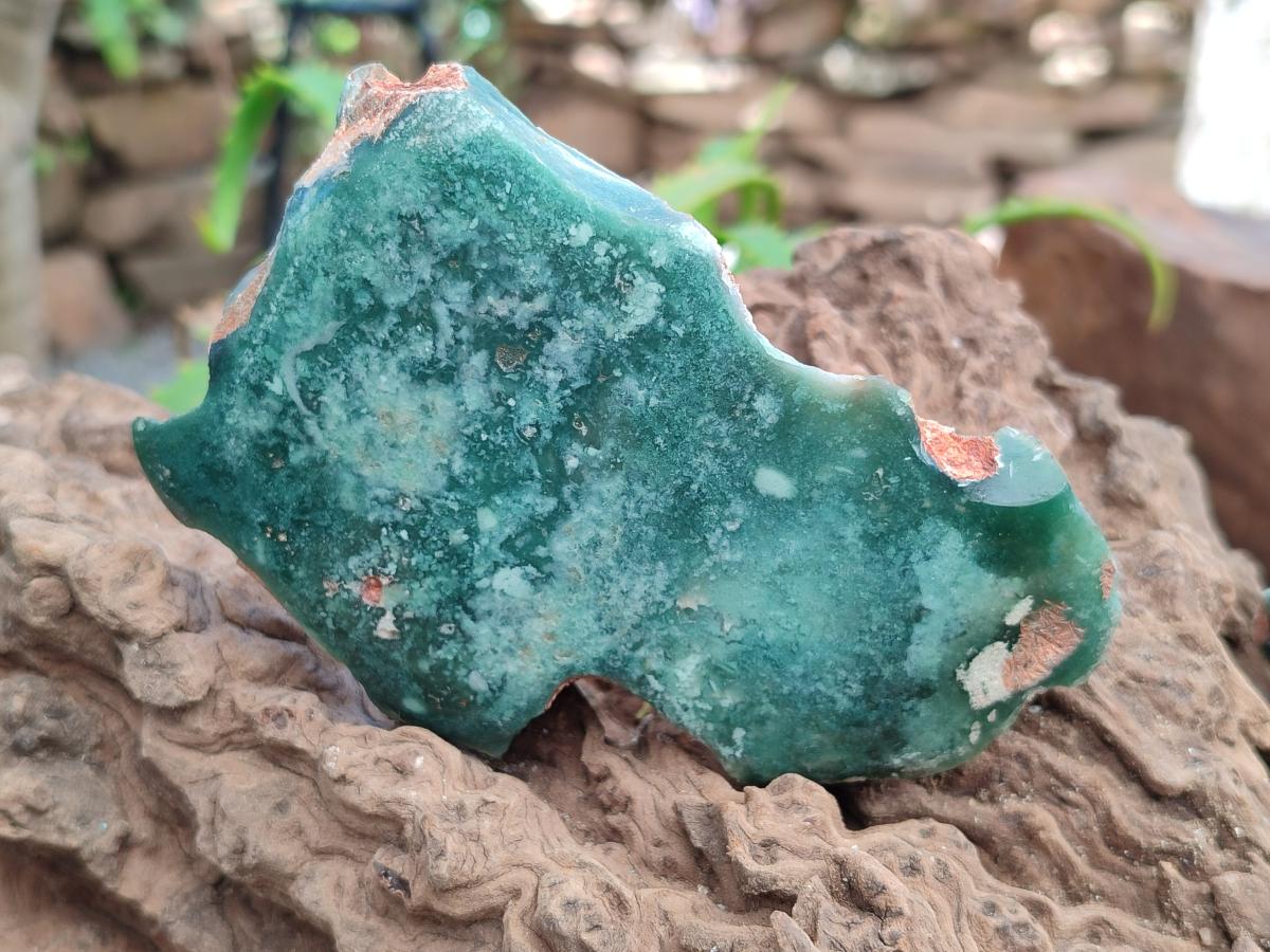 Polished On One Side Mtorolite Plates x 6 From Mutorashanga, Zimbabwe