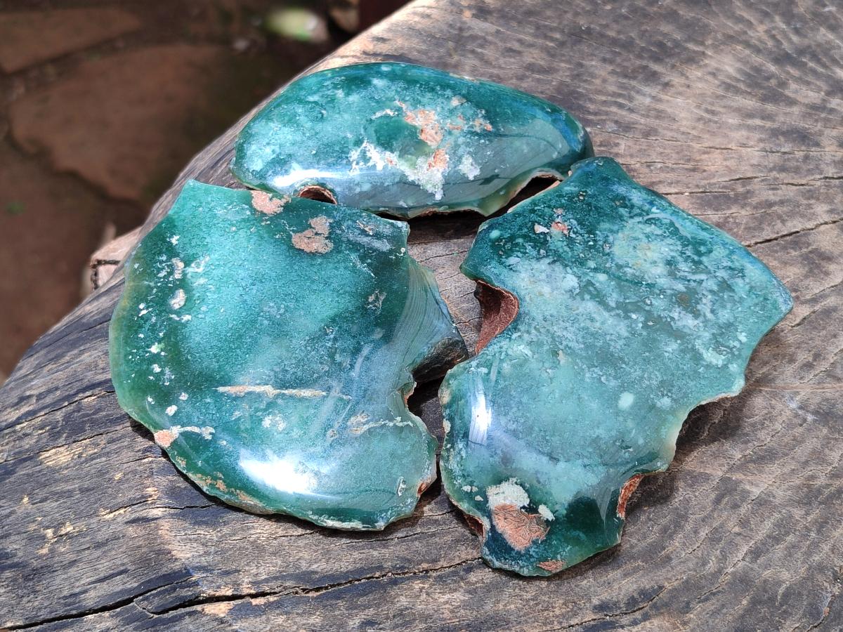 Polished On One Side Mtorolite Plates x 6 From Mutorashanga, Zimbabwe