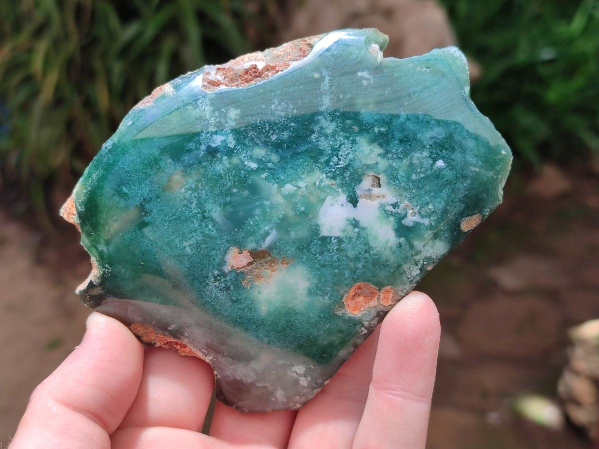 Polished On One Side Mtorolite Plates x 6 From Mutorashanga, Zimbabwe