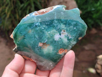 Polished On One Side Mtorolite Plates x 6 From Mutorashanga, Zimbabwe