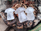 Polished Clear Quartz and Girasol Quartz Mushrooms x 20 From Madagascar