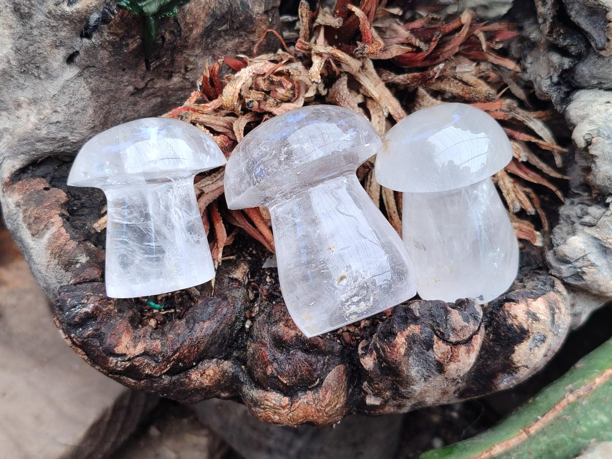 Polished Clear Quartz and Girasol Quartz Mushrooms x 20 From Madagascar