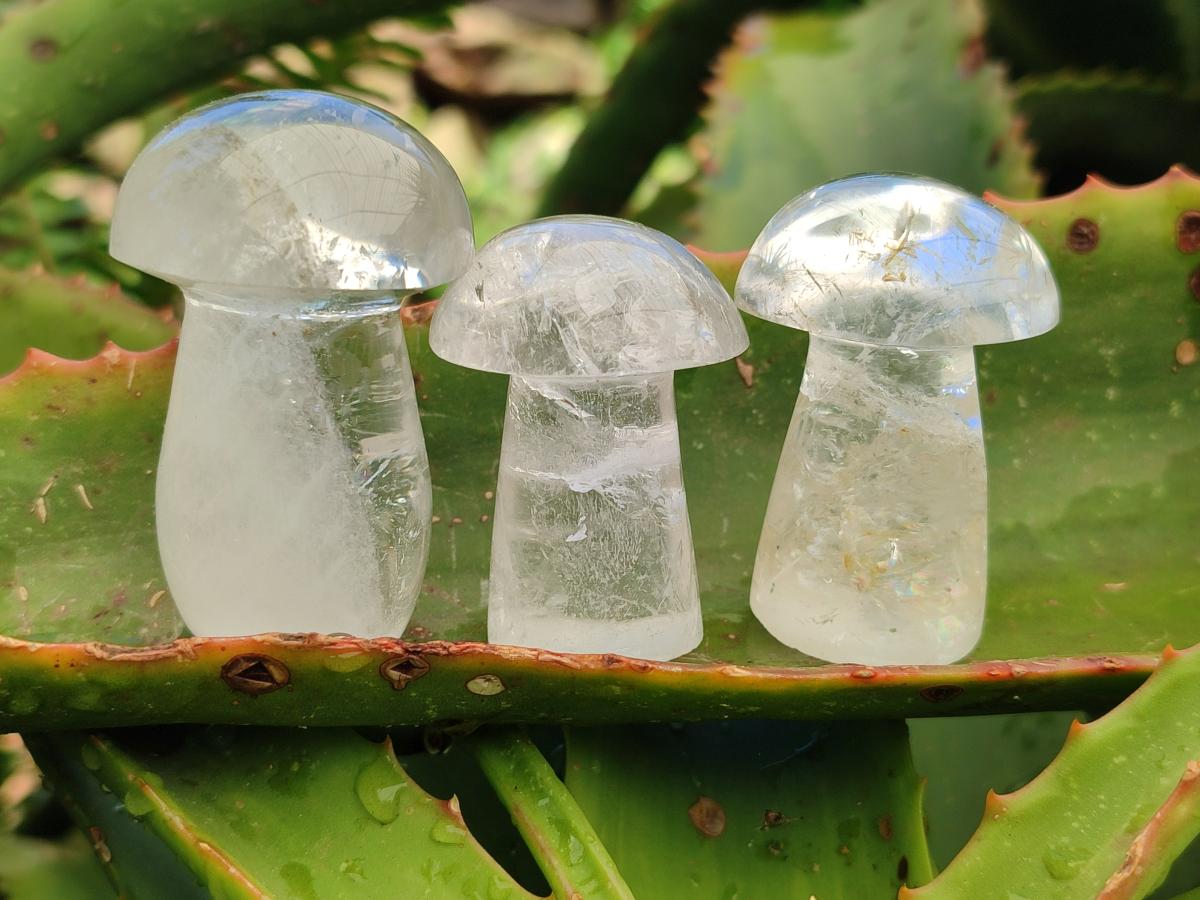 Polished Clear Quartz and Girasol Quartz Mushrooms x 20 From Madagascar