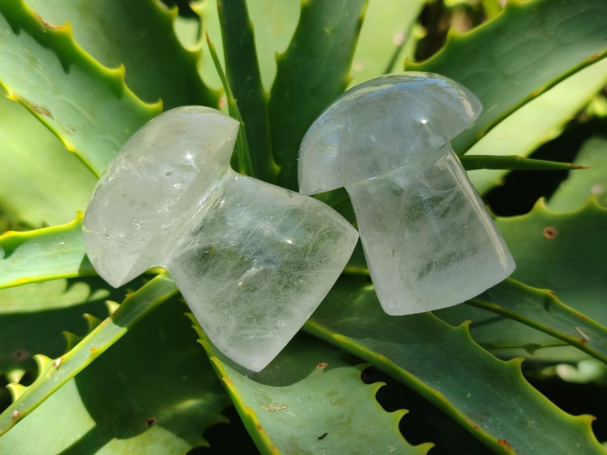 Polished Clear Quartz and Girasol Quartz Mushrooms x 20 From Madagascar