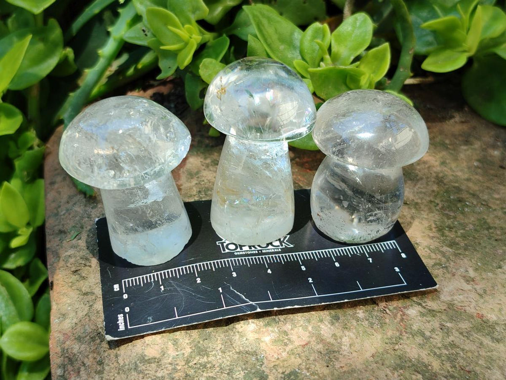 Polished Clear Quartz and Girasol Quartz Mushrooms x 20 From Madagascar