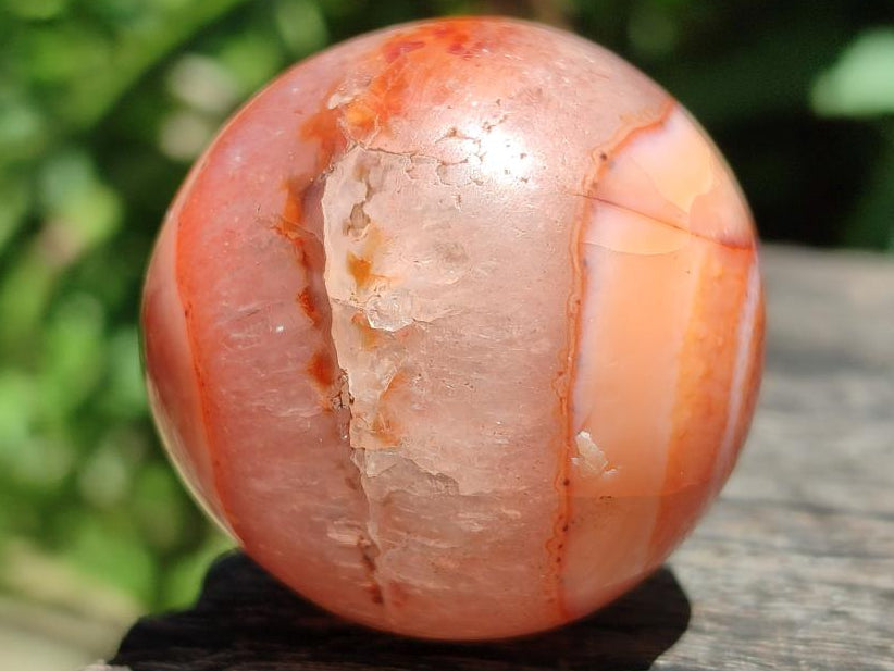 Polished Carnelian Agate Gemstone Spheres x 12 From Madagascar