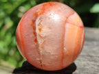 Polished Carnelian Agate Gemstone Spheres x 12 From Madagascar