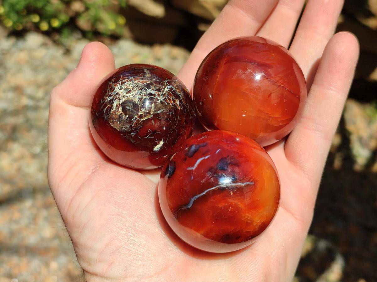 Polished Carnelian Agate Gemstone Spheres x 12 From Madagascar