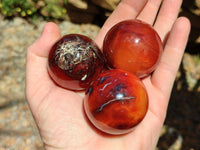 Polished Carnelian Agate Gemstone Spheres x 12 From Madagascar