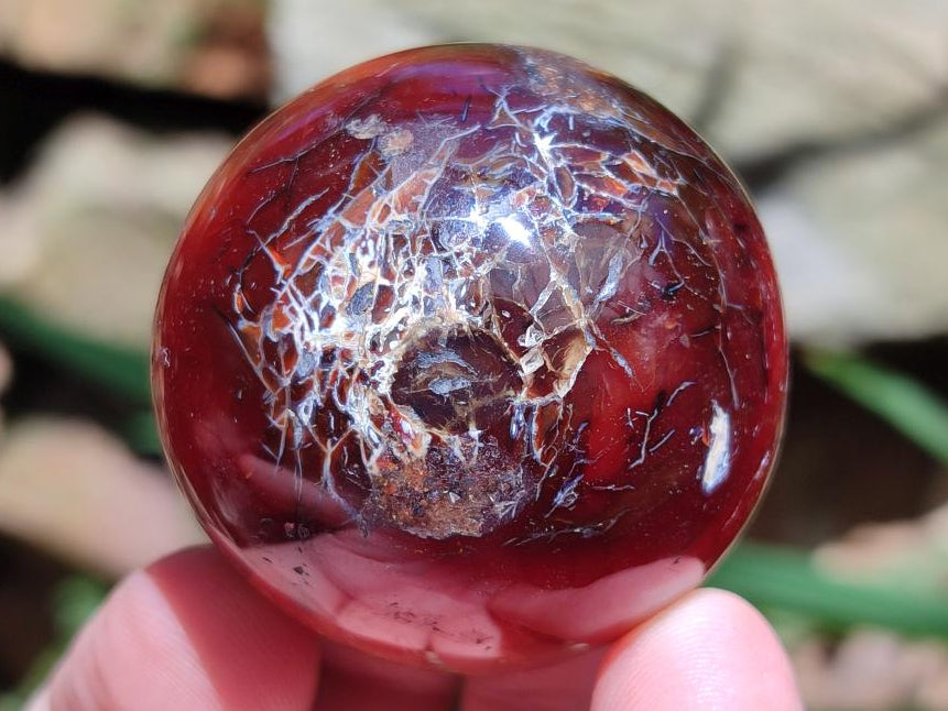 Polished Carnelian Agate Gemstone Spheres x 12 From Madagascar