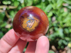 Polished Carnelian Agate Gemstone Spheres x 12 From Madagascar