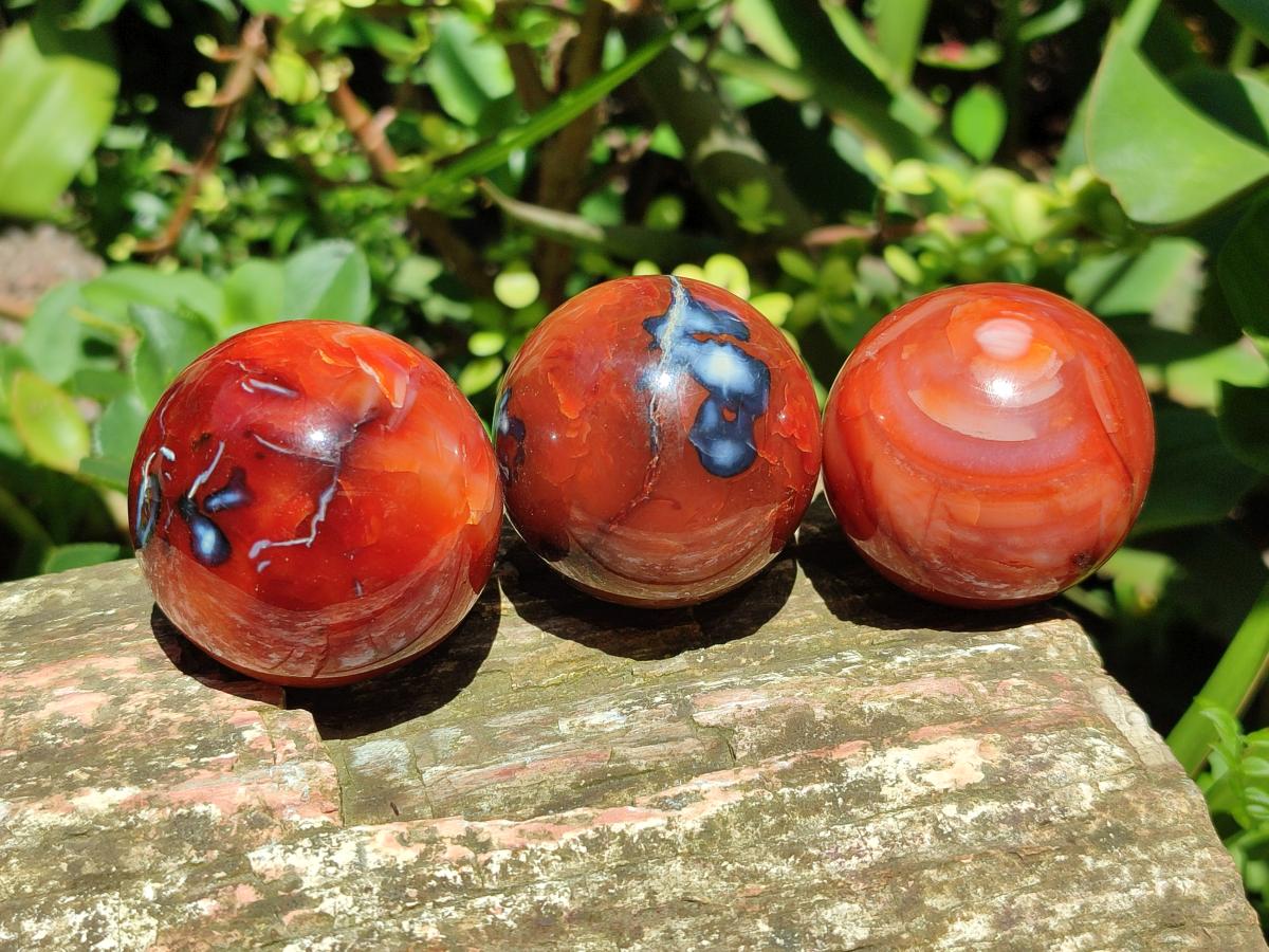 Polished Carnelian Agate Gemstone Spheres x 12 From Madagascar