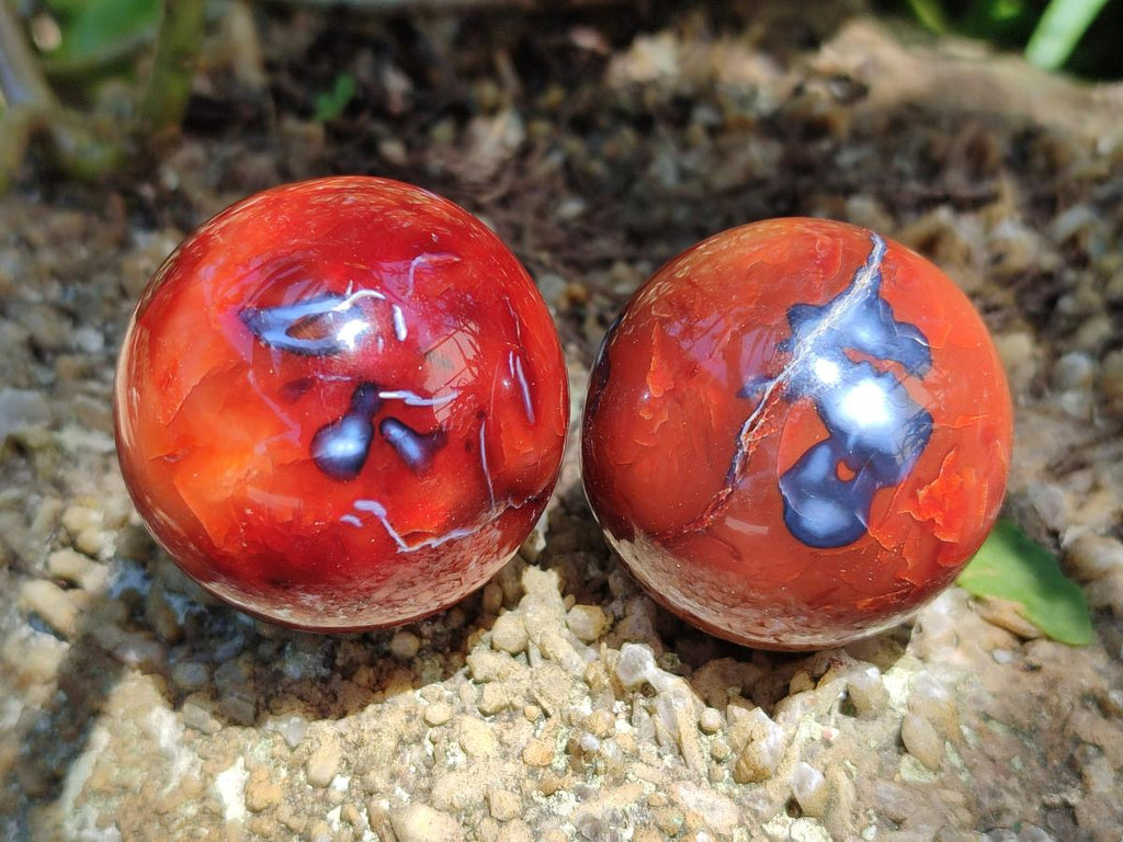 Polished Carnelian Agate Gemstone Spheres x 12 From Madagascar