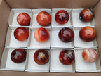 Polished Carnelian Agate Gemstone Spheres x 12 From Madagascar