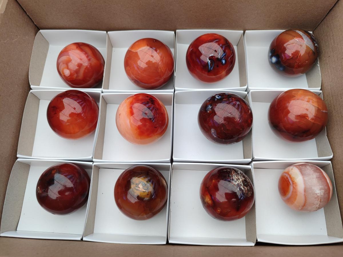 Polished Carnelian Agate Gemstone Spheres x 12 From Madagascar