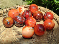 Polished Carnelian Agate Gemstone Spheres x 12 From Madagascar
