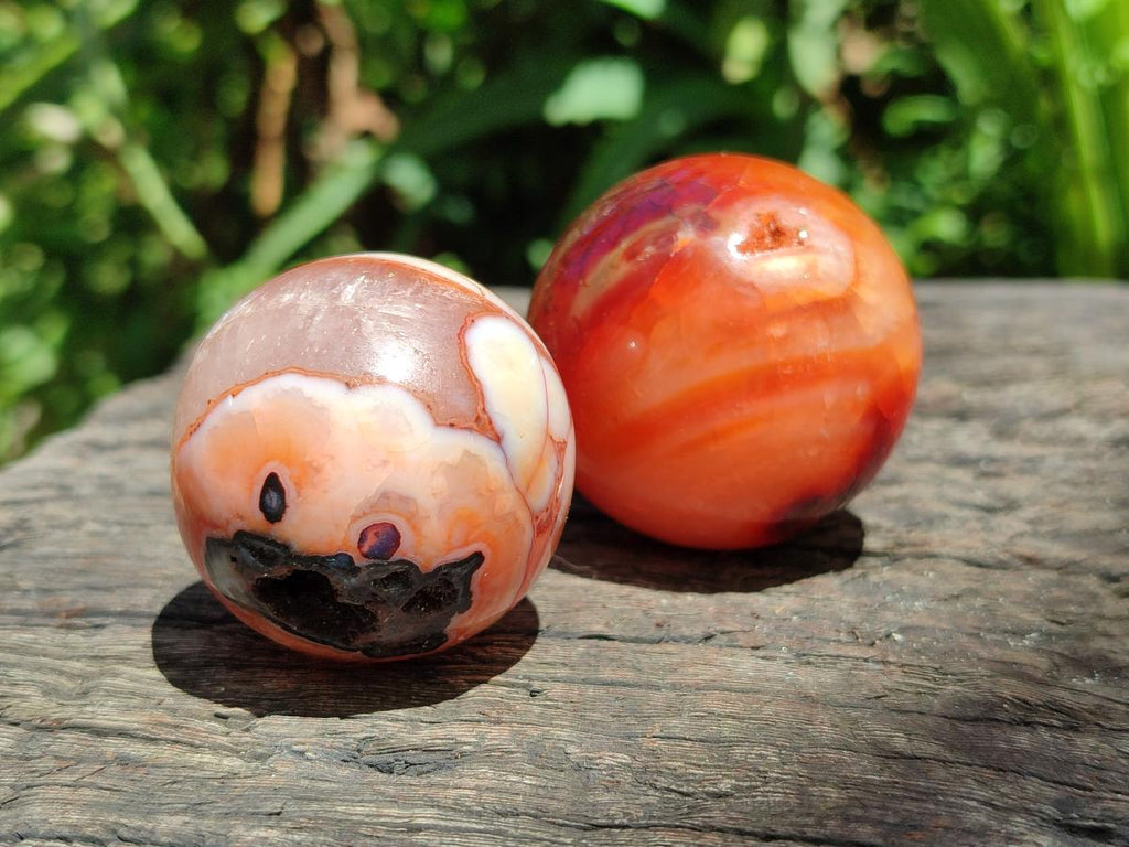 Polished Carnelian Agate Gemstone Spheres x 12 From Madagascar
