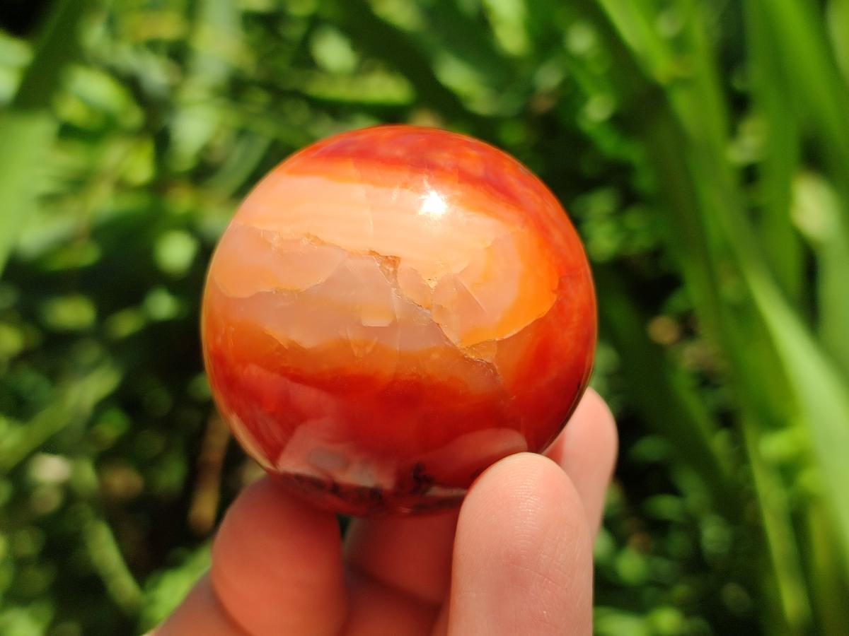 Polished Carnelian Agate Gemstone Spheres x 12 From Madagascar