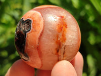 Polished Carnelian Agate Gemstone Spheres x 12 From Madagascar