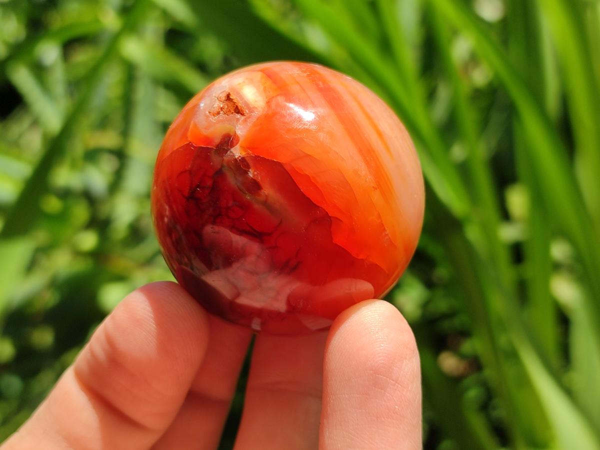 Polished Carnelian Agate Gemstone Spheres x 12 From Madagascar