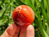 Polished Carnelian Agate Gemstone Spheres x 12 From Madagascar