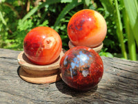 Polished Carnelian Agate Gemstone Spheres x 12 From Madagascar