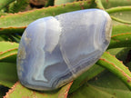 Polished Blue Lace Agate Free Forms x 2 From Nsanje, Malawi