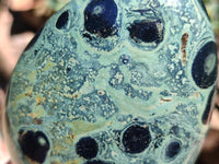 Polished Stromatolite Standing Free Forms x 3 From Katsepy, Madagascar