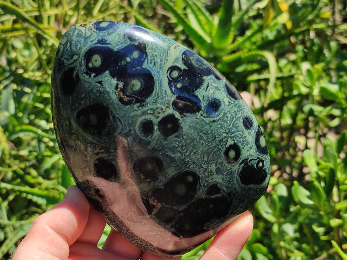 Polished Stromatolite Standing Free Forms x 3 From Katsepy, Madagascar