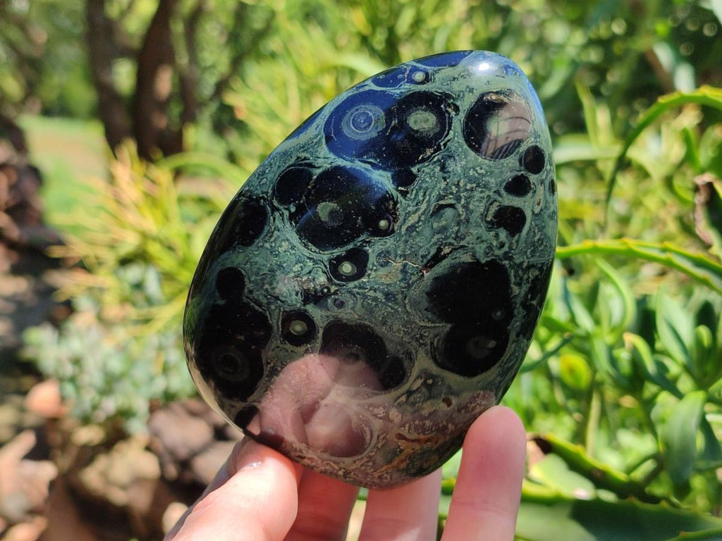 Polished Stromatolite Standing Free Forms x 3 From Katsepy, Madagascar