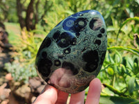 Polished Stromatolite Standing Free Forms x 3 From Katsepy, Madagascar