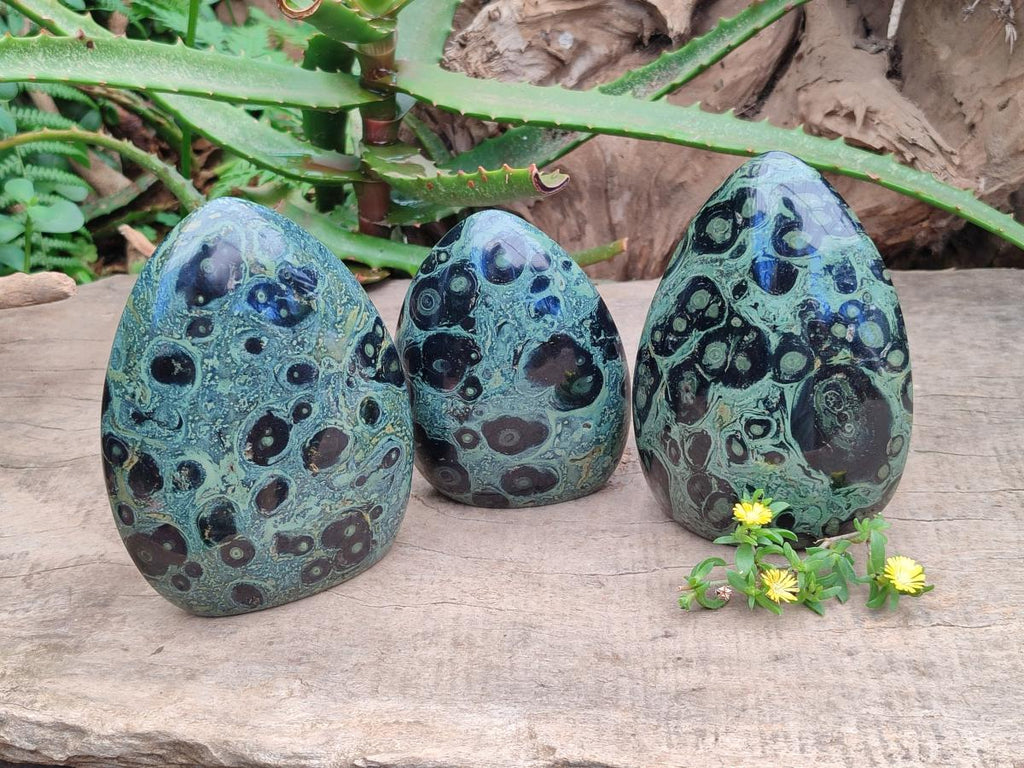 Polished Stromatolite Standing Free Forms x 3 From Katsepy, Madagascar