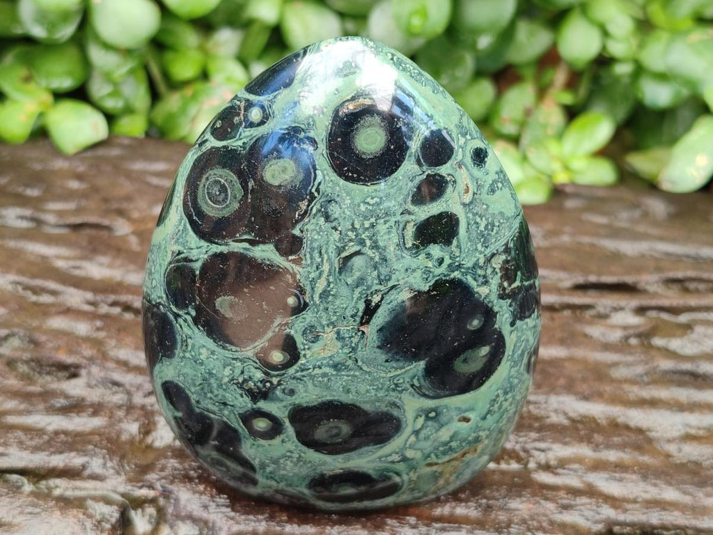 Polished Stromatolite Standing Free Forms x 3 From Katsepy, Madagascar