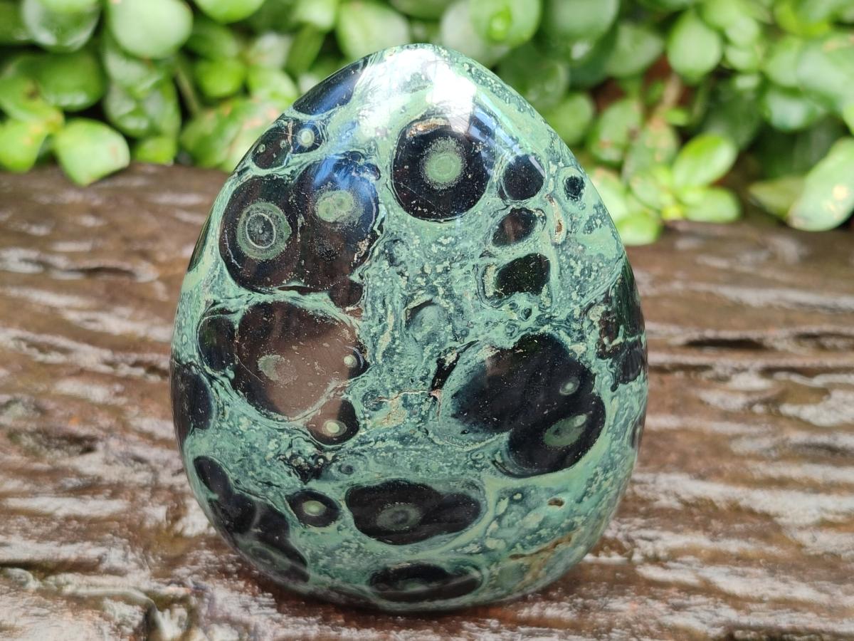 Polished Stromatolite Standing Free Forms x 3 From Katsepy, Madagascar