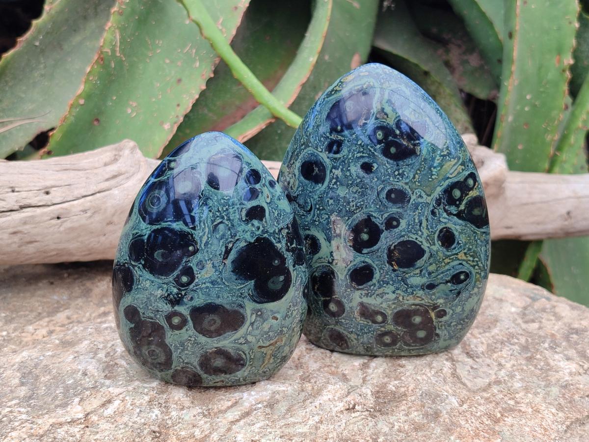 Polished Stromatolite Standing Free Forms x 3 From Katsepy, Madagascar