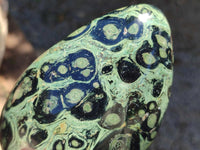 Polished Stromatolite Standing Free Forms x 3 From Katsepy, Madagascar