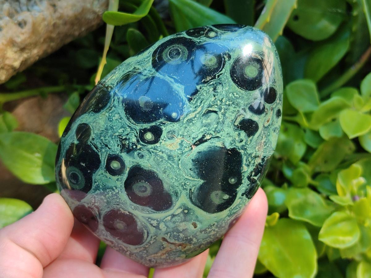 Polished Stromatolite Standing Free Forms x 3 From Katsepy, Madagascar