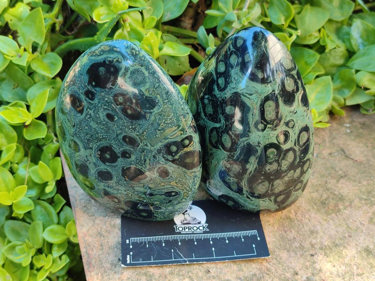 Polished Stromatolite Standing Free Forms x 3 From Katsepy, Madagascar