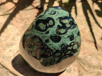 Polished Stromatolite Standing Free Forms x 3 From Katsepy, Madagascar