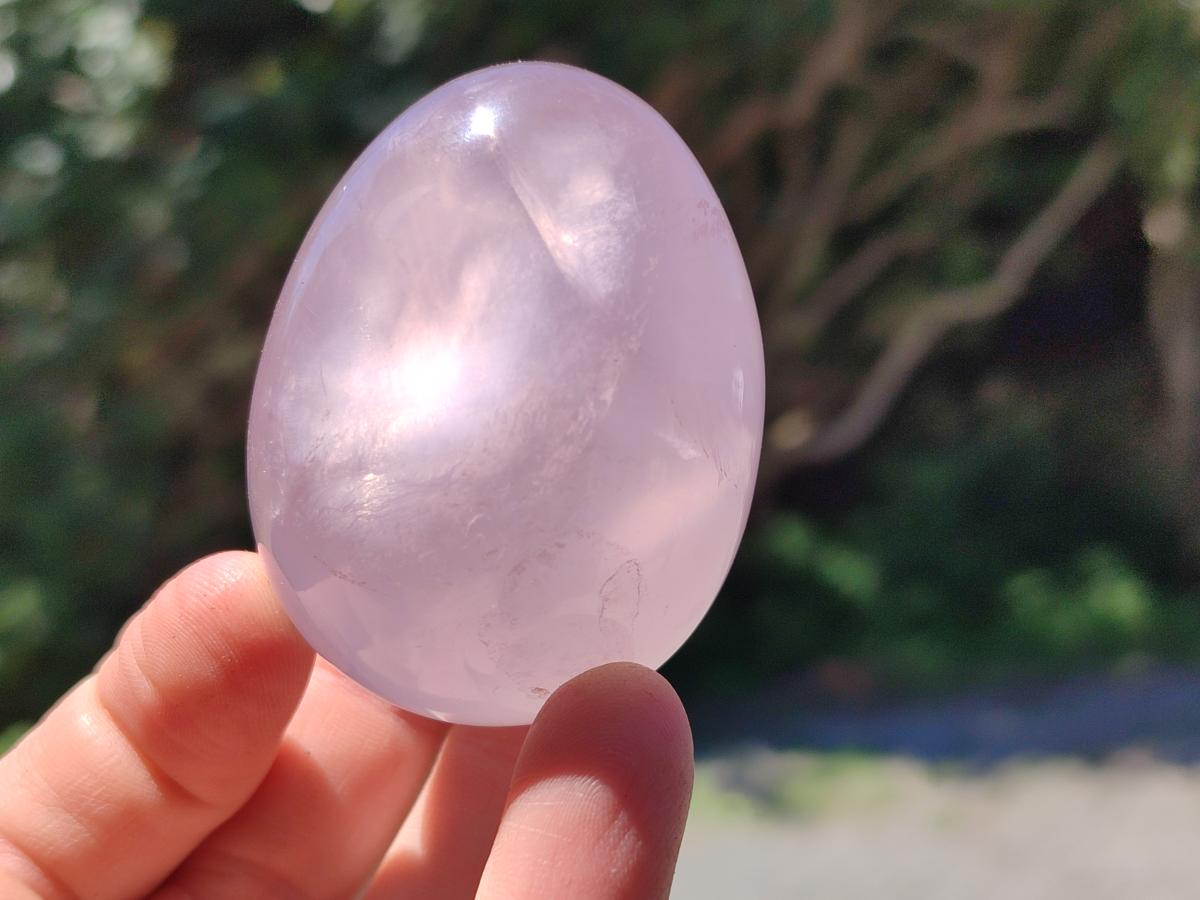 Polished Gemmy Rose Quartz Eggs x 12 From Madagascar
