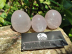 Polished Gemmy Rose Quartz Eggs x 12 From Madagascar