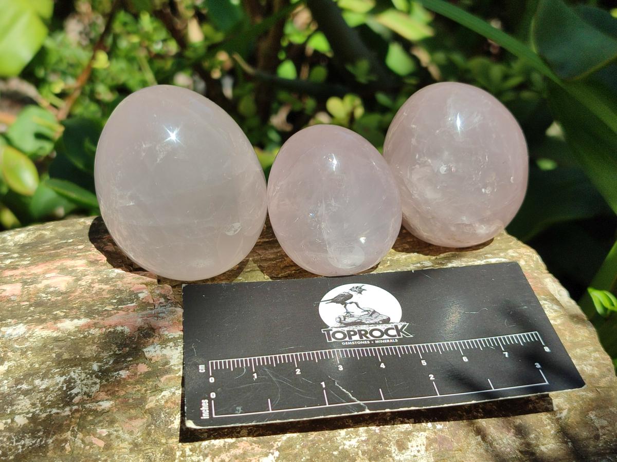 Polished Gemmy Rose Quartz Eggs x 12 From Madagascar