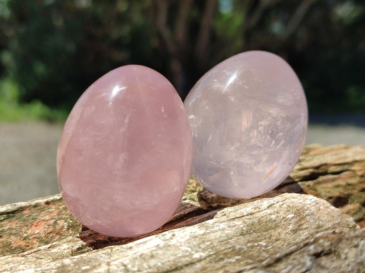 Polished Gemmy Rose Quartz Eggs x 12 From Madagascar