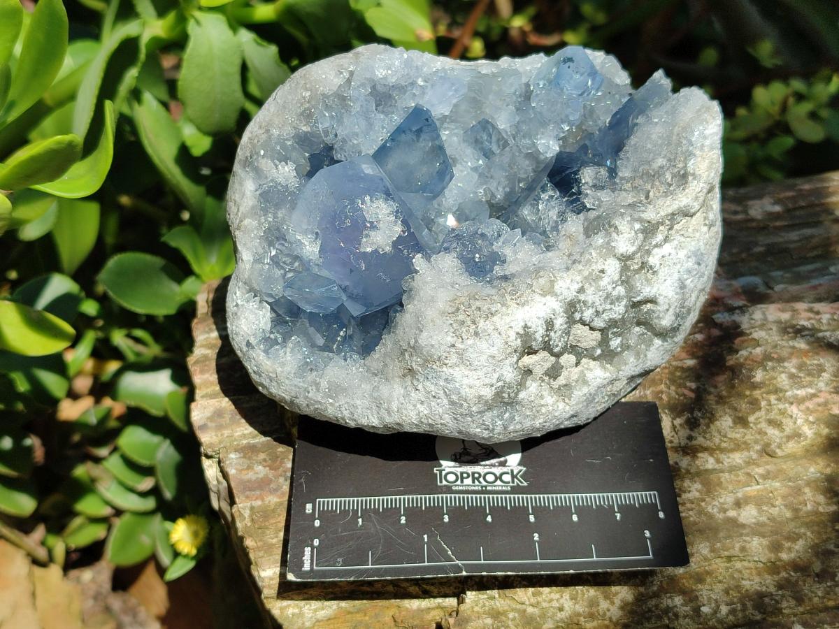 Natural Blue Celestite Specimens x 2 From Sakoany, Madagascar