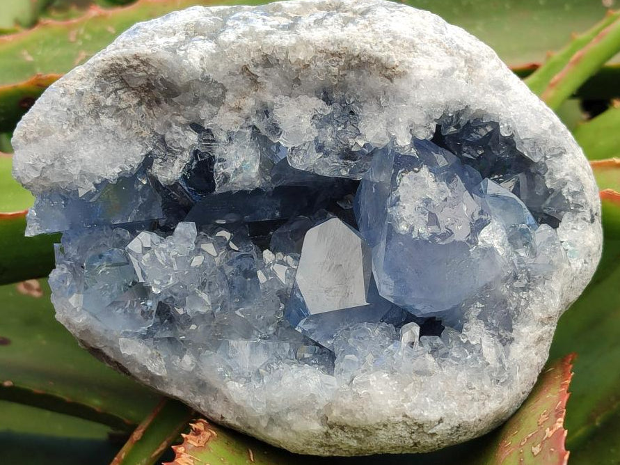 Natural Blue Celestite Specimens x 2 From Sakoany, Madagascar